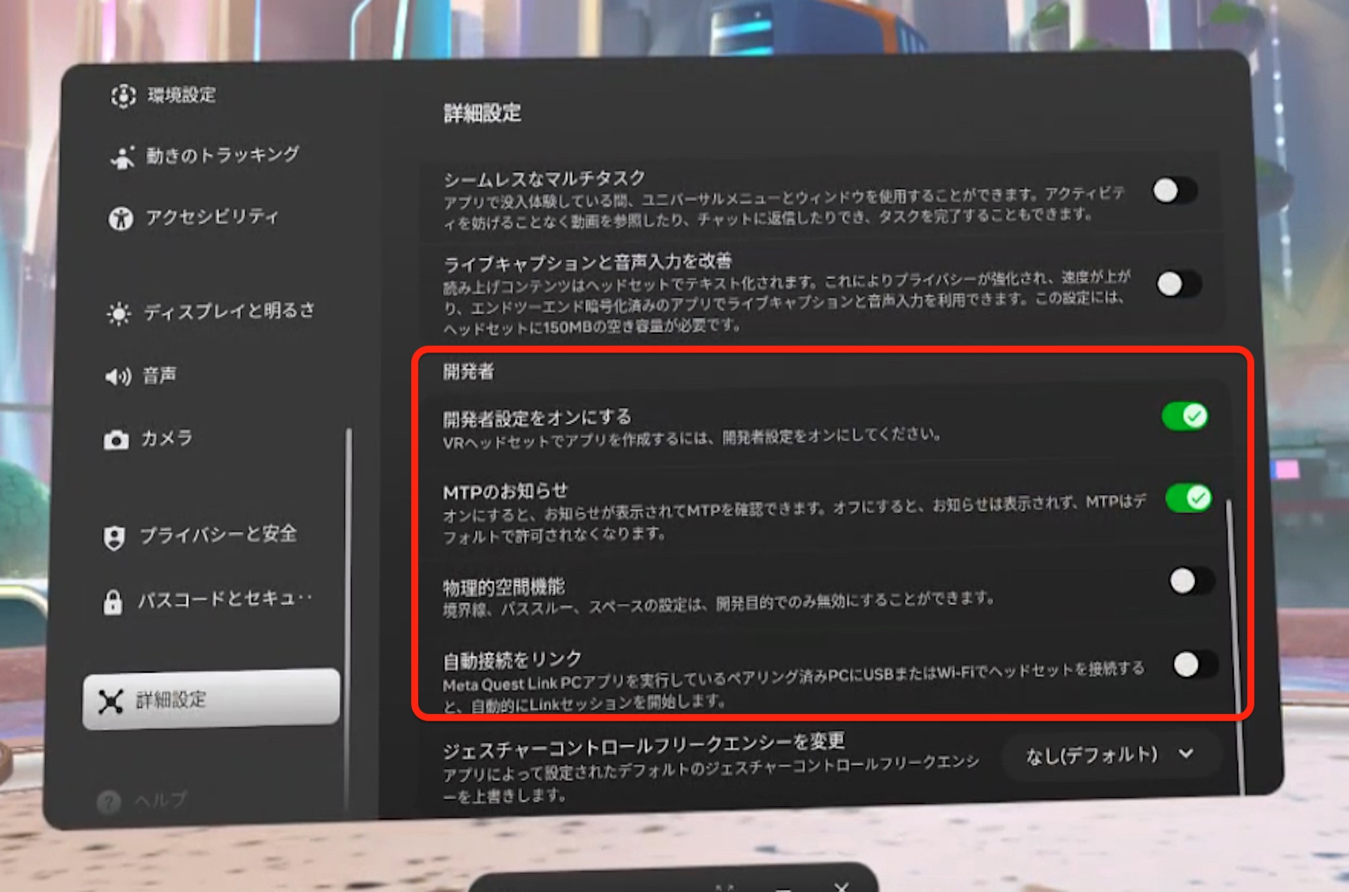 詳細設定 > 開発者